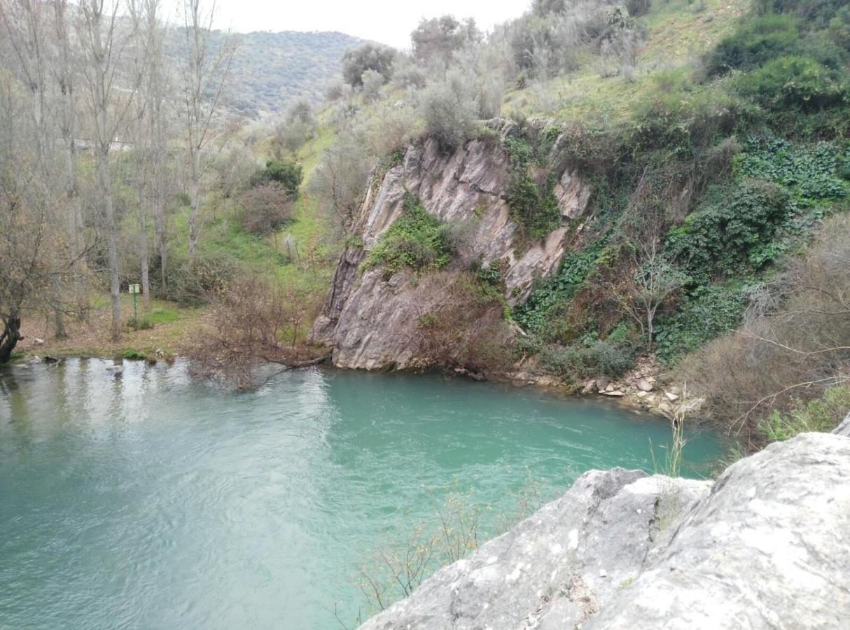 Casa Rural Las Rosas De Benaojan Bagian luar foto