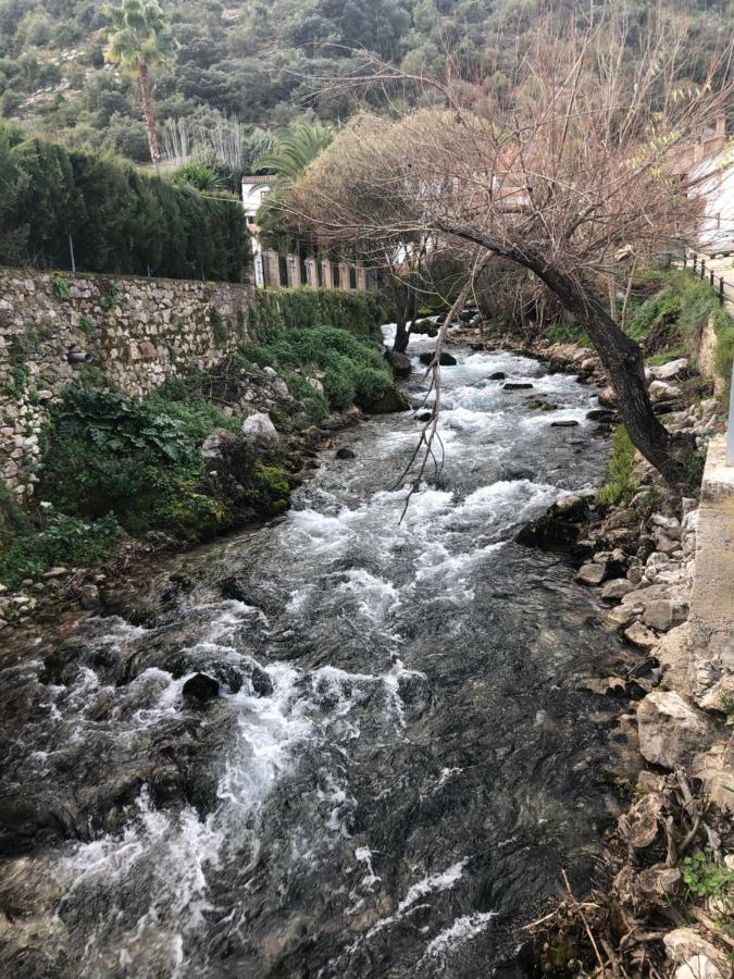 Casa Rural Las Rosas De Benaojan Bagian luar foto