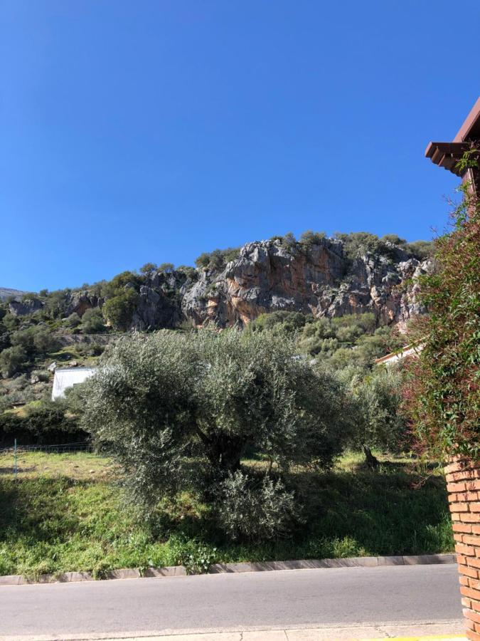 Casa Rural Las Rosas De Benaojan Bagian luar foto